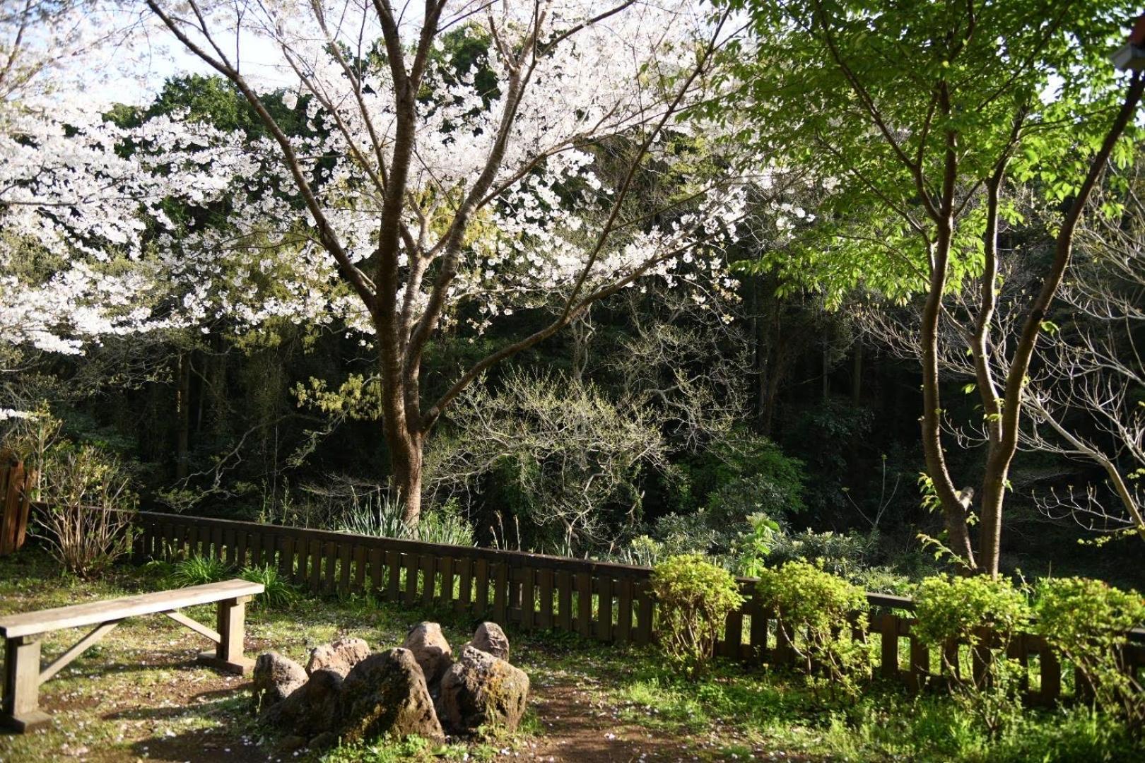 Sunny Side Cottage Shimoda  Esterno foto