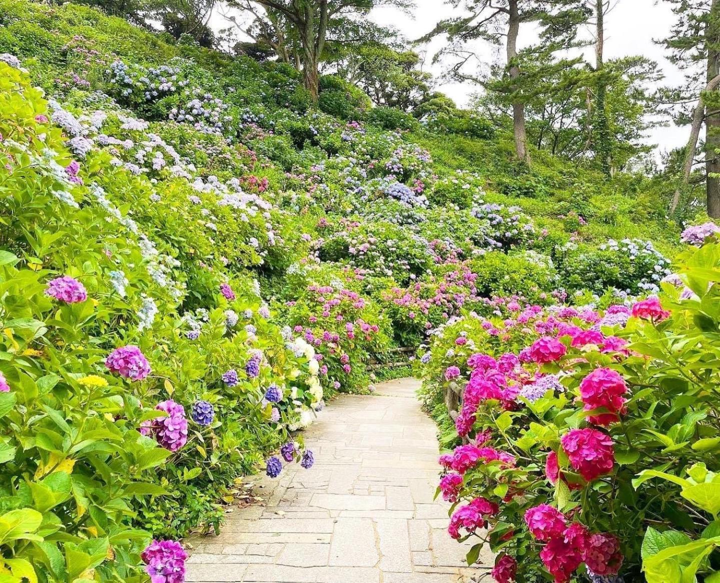 Sunny Side Cottage Shimoda  Esterno foto