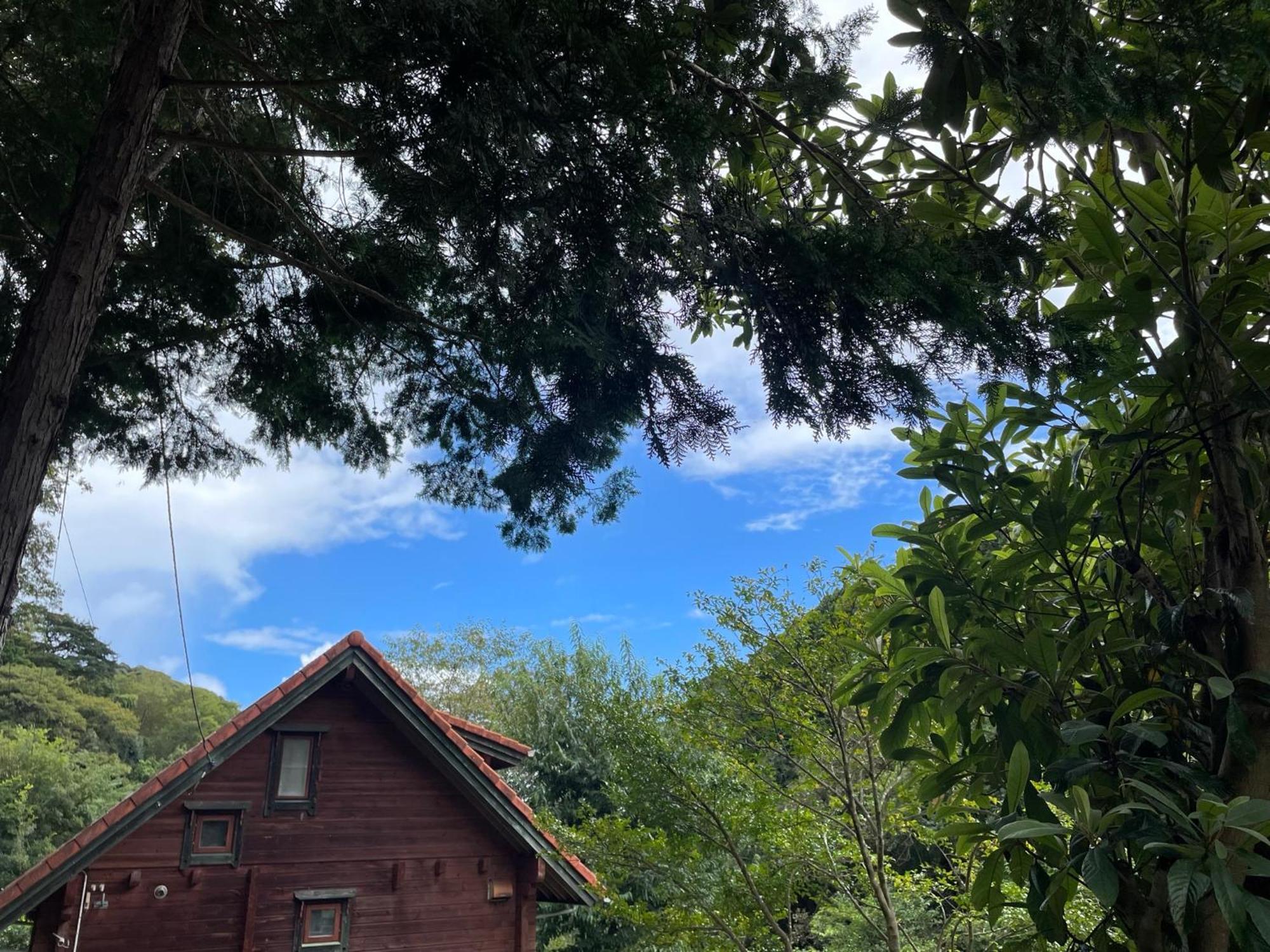 Sunny Side Cottage Shimoda  Esterno foto